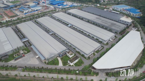 畝產(chǎn)超百萬(wàn),三個(gè)全國(guó)第一,貴州大山里有個(gè)食用菌 超級(jí)工廠